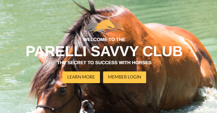 Parelli Savvy Club Logo